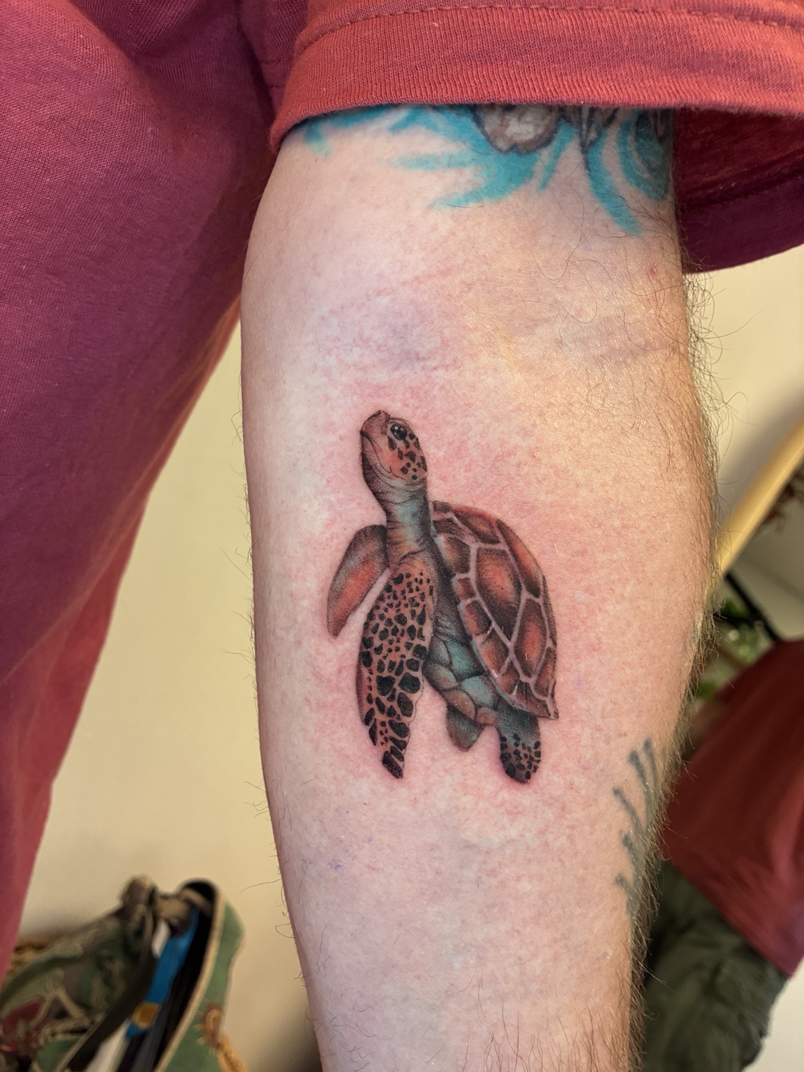Color sea turtle tattoo by Jen