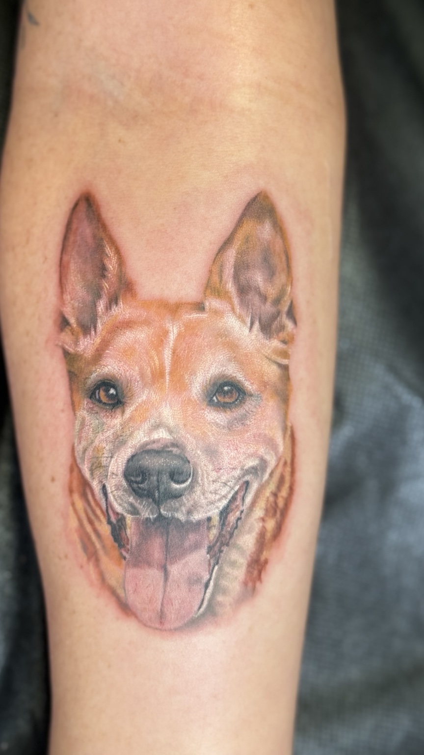 Color realism dog portrait tattoo by Kai